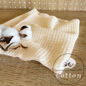 i` {fB^I I[KjbNRbg VN l    A 炩 ӂ   f VRf ʂ fB[X ア [M 1/2] Y26583C