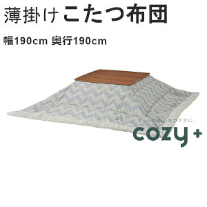 | zc ` 190×190cm ΉTCY80×80cm VFu Vv   J@|R^czc kk-131