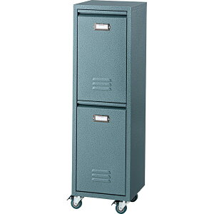 【送料無料】 ラルド ダストボックス 45L キャスター付き 幅28cm 奥行26.5cm 高さ95cm ゴミ箱 おしゃれ シンプル 北欧 分別回収 TPN-36 東谷