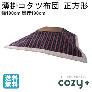 | zc ` 190cm c190cm ΉTCY80×80cm XgCv Vv   J@|R^czc kk-159