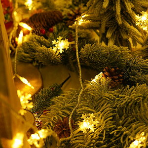 C~l[V led Cg ̌ tFA[Cg dled 6M 40LED drXgOCg NX}Xc[ Cg NX}X Cg c[ t K[hCg   