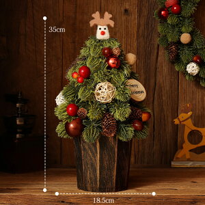 y2025VzNX}Xc[  k ~jc[ 35cm ቻ c[ CgȂ k[hc[   ~j e[uc[ I  킢  gȒP NX}X