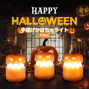 nEB  Cg  ^ ڂ჉Cg LEDCg ڂ  fR[V halloween  O@USB[d 邨Ⴉ킢 nEB ڂ 񃉃^ 