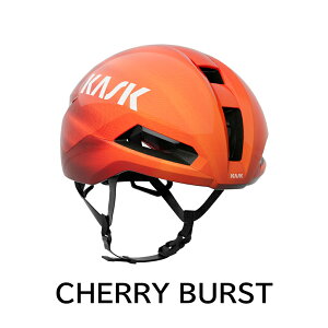 y11/5́u5{IvWGg[ōXɃ|CgUPzKASK NIRVANA JXN jo[i HELMET wbg