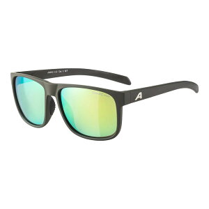 ALPINA NACAN III COFFEE GRAY MATT SUNGLASSES �A���s�i �i�J�� III �R�[�q�[�O���C�}�b�g �T���O���X ���[�h�o�C�N 4003692316530