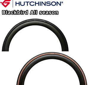 y9/25́u4{IvGg[Ń|CgUPzHUTCHINSON(nb`\) Blackbird All season ubNo[h I[V[Y TT `[u^C [hoCN ^C