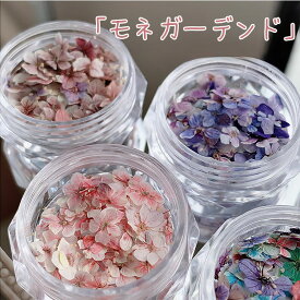 【3g・約50枚】【本物の押し花】天然ドライフラワー ネイル ドライフラワー ミックスセット 全5種 手作り ネイル用 パーツ カラー 押し花ネイル レジン封入 手作り ケース入り アクセサリーパーツ DIYネイルパーツ ギフト 母の日