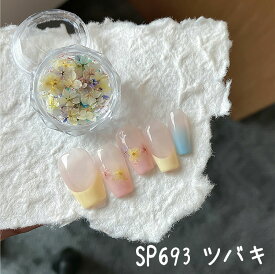 【全店★買うほどお得！最大1,000円OFF】【3g・約50枚】【本物の押し花】天然ドライフラワー ネイル ドライフラワー ミックスセット 全5種 手作り ネイル用 パーツ カラー 押し花ネイル レジン封入 手作り ケース入り アクセサリーパーツ DIYネイルパーツ