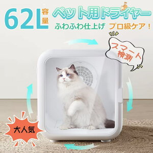 ybghC[ L hC[ hC[ {bNX ybg ybg hC[ LnEX ybghC[ ybgphC[ ybghC[ L@   É 