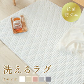 【12/3 20時〜25%OFF！4点購入クーポンで】ラグ 洗える ラグマット 絨毯 北欧 くすみ カーペット 95×140 130×190 190×190 190×240 190×300 1畳 1.5畳 2畳 3畳 リビング 滑り止め 床暖房対応 丸洗い かわいい おしゃれ 子供 家族 秋 冬用 cp-ff-rg01