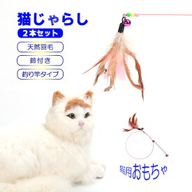 【送料無料】 1000円ポッキリ 猫じゃらし ねこじゃらし 猫用おもちゃ 猫のおもちゃ じゃれ猫 ストレス解消 運動不足解消 鈴付き おしゃれ おもちゃ かわいい ペット用品 釣り竿 猫 猫グッズ 猫おもちゃ 天然羽根 猫の大好物 宙返り 猫遊び