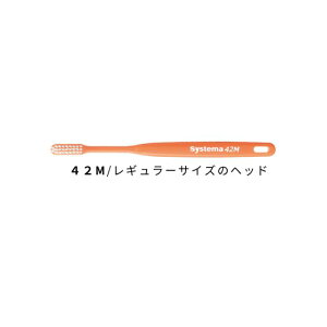 yVX[p[SALE10It DENT.EX systema 42M/42H/44M/44H 20{ CI VXe} A\[g J[ws