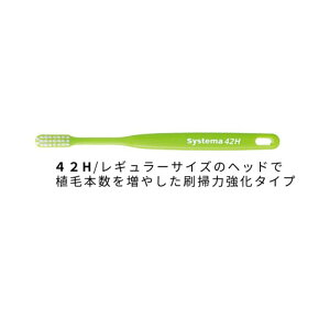 DENT.EX systema 42M/42H/44M/44H 10{ CI VXe} A\[g J[ws