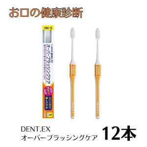 CI DENT.EX I[o[ubVOPA uV (炩/ӂ) 12{