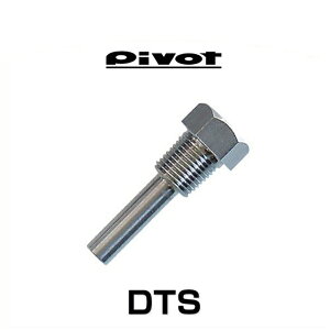 PIVOT �s�{�b�g DTS ���x�Z���T�[