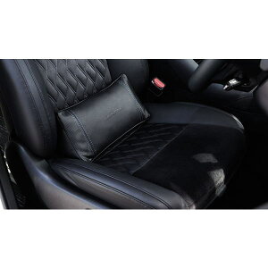 ALPINE ApC SSK-AP01AV AVXgpbh 30nAt@[h/30nFt@CAp