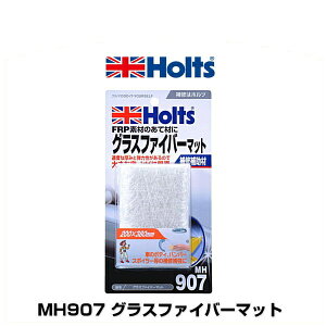 Holts zc MH907 OXt@Co[}bg