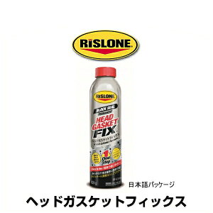 RISLONE X[ RP-61110 wbhKXPbgtBbNX 624g RP-31111̌pi