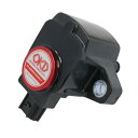 OKADAPROJECTS オカダプロジェクツ SD224111R プラズマダイレクト 1台分