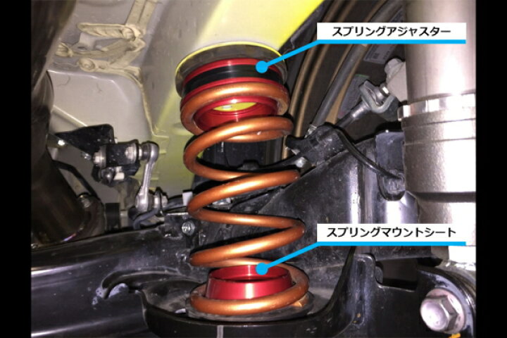 楽天市場】Monster SPORT モンスタースポーツ 595500-7650M リヤ 