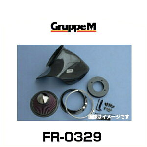 GruppeM O[vG FR-0329 RAM AIR SYSTEM GAVXe GOhp