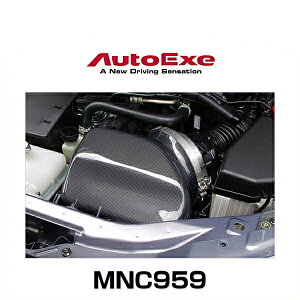 AutoExe I[gGN[ NCA1V5900iMNC959j GA[Ce[NVXe [hX^[iNCEC`304864j