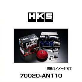 HKS 70020-AN110 レーシングサクション エアクリーナー GT-R