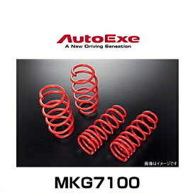 AutoExe オートエクゼ MKG7100 ローダウンスプリング CX-8(KG2P) 4WD車用