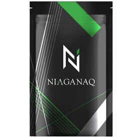 NIAGANAQ アナゲイン3300mg ノコギリヤシ 亜鉛 イソフラボン 厳選12成分 GMP認定工場 30日分