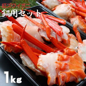 YCIZNV1kg@Jj@Ɂ@I@ނg@|[V@Ε@@NNn@񂹁@Mtg@O@v[g@YCKj@Ԃԁ@p@Jj@J