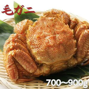 уKj700g`900g@Jj@Ɂ@I@Ε@@NNn@񂹁@Mtg@O@v[g@уKj@p@Jjp