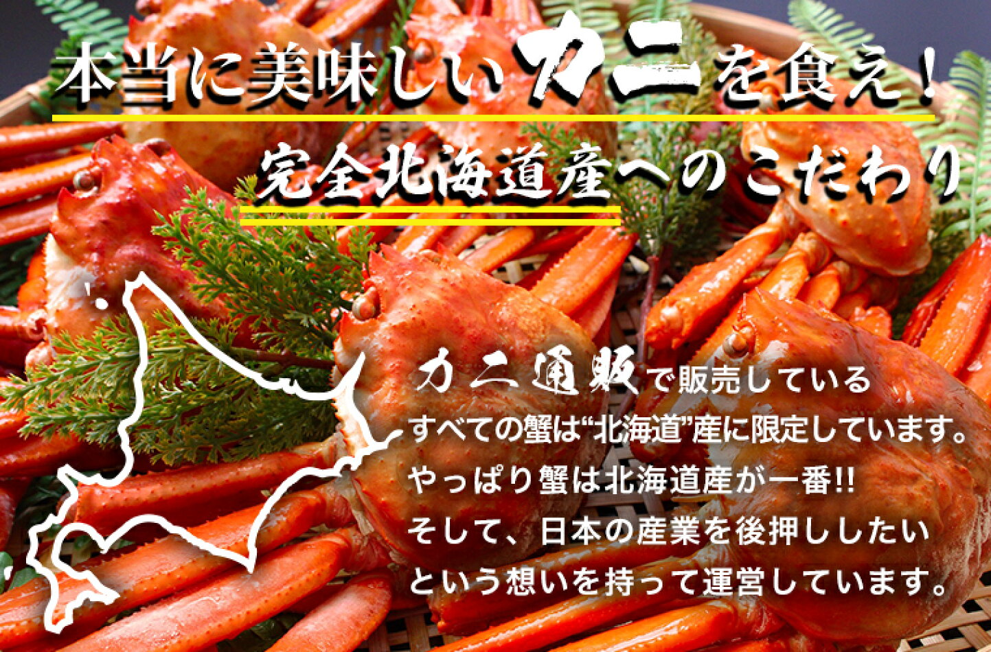 楽天市場 | カニ通販 楽天市場店 - 全商品