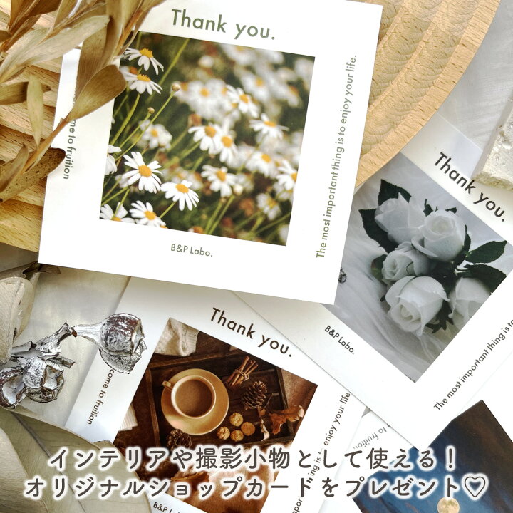 楽天市場】幅3cm インド刺繍リボン 【50cm入】 幅30 フラワー 花 刺繍 