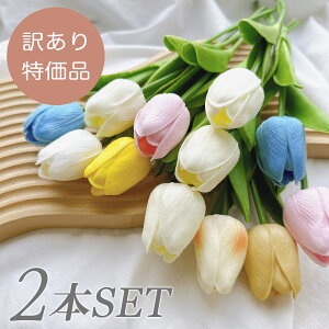 yz󂠂i `[bv ԑy2{ZbgzCeA t[ CeAG ANZT[ ANZ ؍ ؍G   ԑ  i` 킢 l