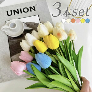 yz`[bv ԑy3{ZbgzCeA t[ Be  CeAG ANZT[ ANZ ؍ ؍G   ԑ  i` 킢 l