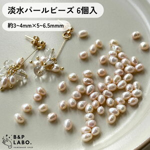 Wp[r[Y y6z Wp[ r[Y ^  ꗱ ^ ꗱ sAX CO ޗ  | |pi Ntg   킢 nhCh nhChp[