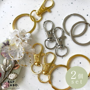 キーホルダーパーツ 【2個入】 キーホルダー キーチャーム キーリング バッグチャーム 金具 材料 留め具 レジン用品 ナスカン メタル シャカシャカ シャカシャカレジン モールド レジン ク
