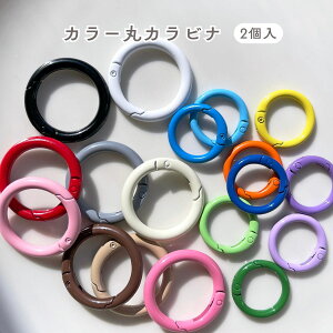 カラー丸カラビナ【2個入】 全18色 カラビナ キーホルダー キーチャーム バッグチャーム ネームタグ キッズ リング サークル 金具 手作り 手芸 手芸用品 クラフト おしゃれ 可愛い かわいい