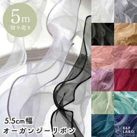 5.5cm幅 オーガンジーリボン 【5m切り売り】 リボン テグス入り ラッピング オーガンジー オーガンジーリボン フリルリボン 推し活 手作り 手芸 手芸用品 クラフト かわいい ハンドメイド ハンドメイドパーツ ハンドメイドアクセサリー アクセサリー アクセサリーパーツ