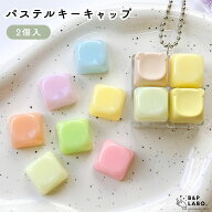 パステルキーキャップ【2個入】 キーキャップ クリッカー 手作り 手芸 手芸用品 クラフト かわいい ハン…