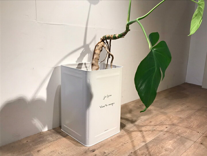 楽天市場】【オーダーサイズ注文可能】一斗缶 リメイク 植木鉢 鉢 