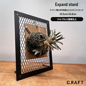 yI[_[TCY\zGLXphX^h 25.5cm×34.8cm fBXvCX^h ϗtA| L[z_[|  ACAG GLXph^ GLXphX^h