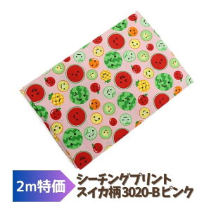 y2mz V[`Ovg XCJ sN 112cm 2m ݌ɏ n z