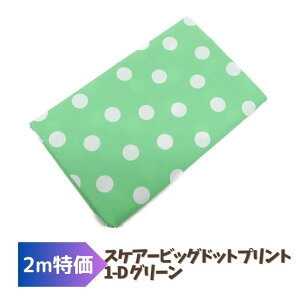 y2mz XPA[rbOhbgvg O[ 108cm 2m ݌ɏ n z