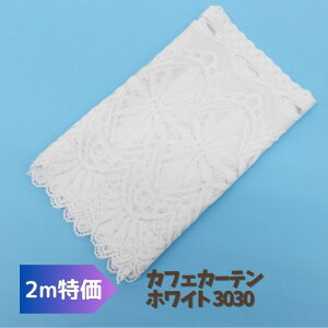 y2mz JtFJ[e zCg [Xn 30cm 2m n z