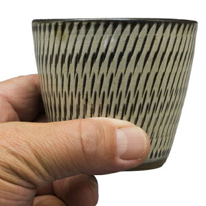 aH c ؏Lq t[ Jbv 150cc  