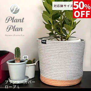 y50%OFFzPlant Plan vgv v^[Jo[ [v L AؔJo[ 7 8 Rbg[v mg[  [v v^[ ϗtA Jo[ Jo[ k X^CbV 