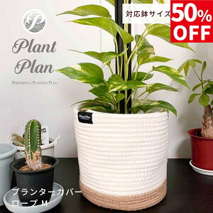 y50%OFFzPlant Plan vgv v^[Jo[ [v M AؔJo[ 5 6 Rbg[v mg[  [v v^[ ϗtA Jo[ Jo[ k X^CbV 