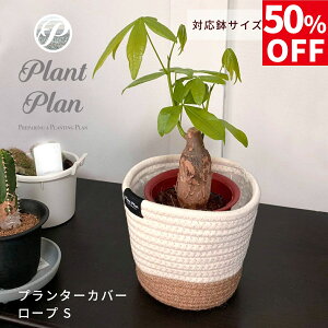 y50OFFzPlant Plan vgv v^[Jo[ [v S AؔJo[ 3 4 Rbg[v mg[  [v v^[ ϗtA Jo[ Jo[ k X^CbV 