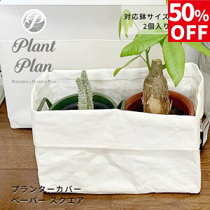 y50%OFFzPlant Plan vgv v^[Jo[ XNGA[ y[p[ AؔJo[ 3 4 2 Ntgy[p[ mg[ y v^[ ϗtA Jo[ Jo[ k X^C